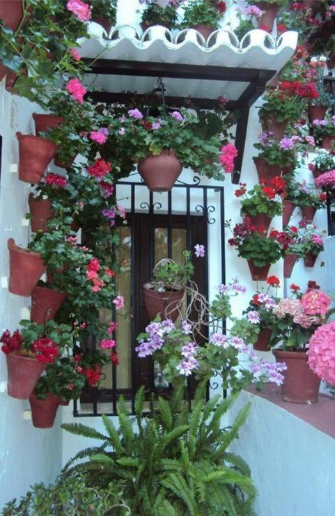 Hostal Los Claveles Baena Exterior photo